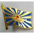 Знак Военно воздушные силы СА флаг