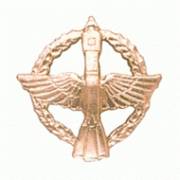 Эмблема петличная Космические войска с венком золото металл