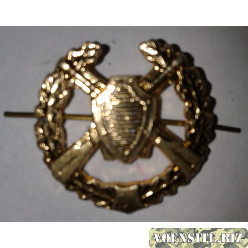 Эмблема петличная пограничные войска с венком золото металл